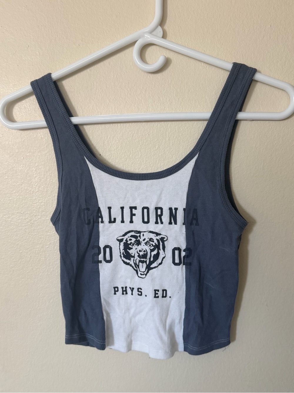 Hollister Blue and White California Graphic Crop Tank